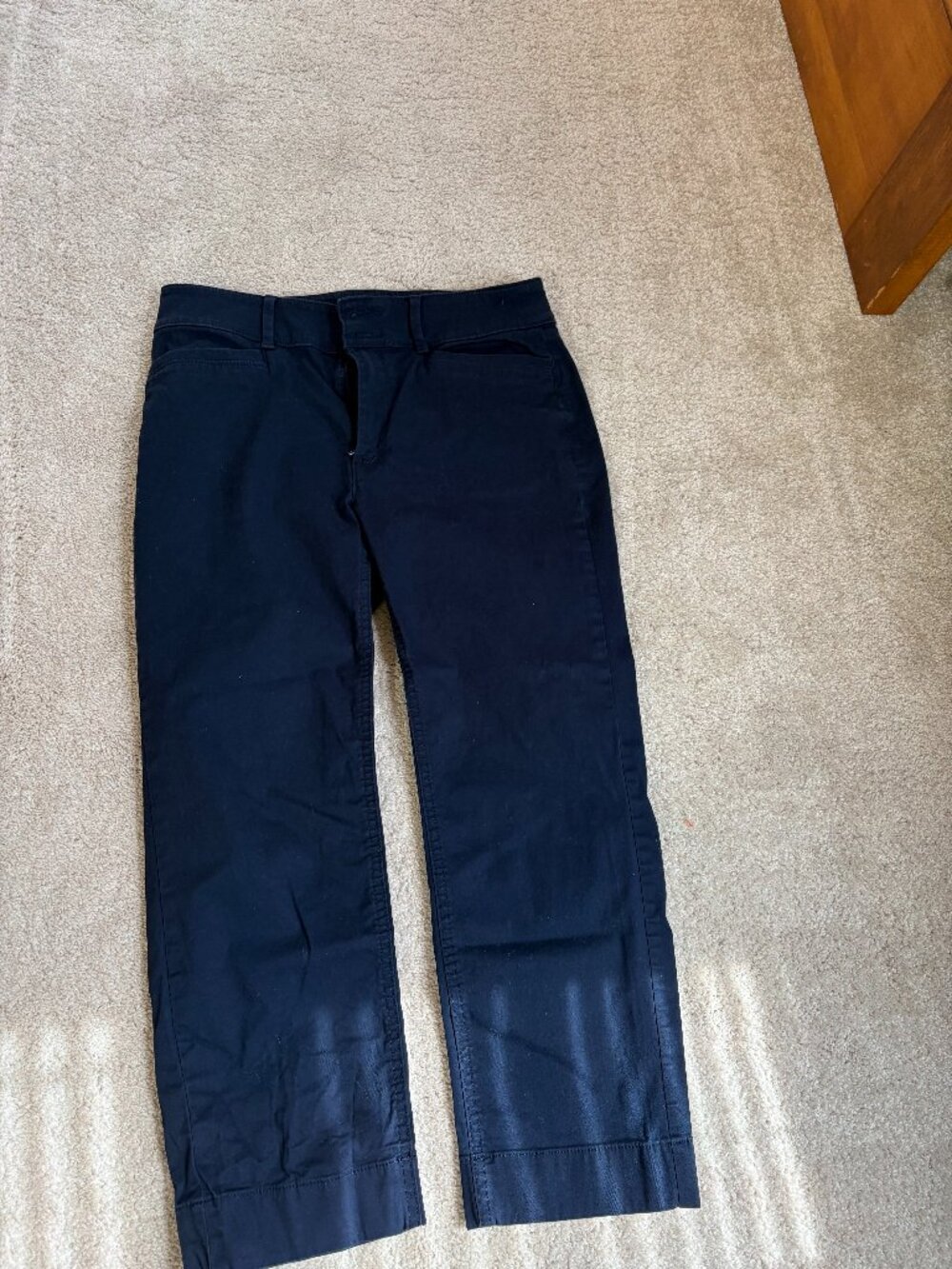 Loft Outlet Navy Pants - 4p